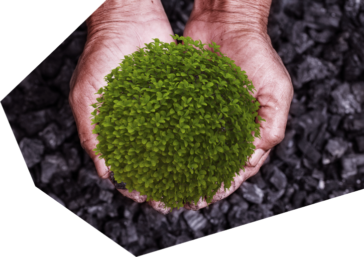 Imagen Sustainable Development Goals